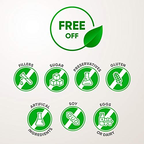 Garden Organics - St. Johns Wort Alcohol-Free Extract, Organic S...