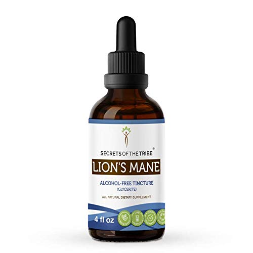 Lions Mane Tincture Alcohol-Free Extract, Organic Lions Mane H...