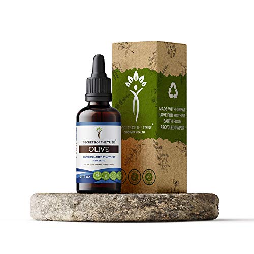Olive Alcohol-Free Liquid Extract, Organic Olive Olea europaea ...