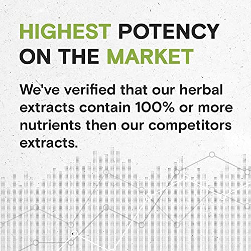 Stone Breaker Blend Alcohol-Free Extract, Stonebreaker, Burdock, ...