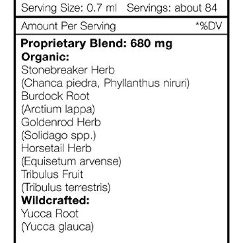 Stone Breaker Blend Alcohol-Free Extract, Stonebreaker, Burdock, ...