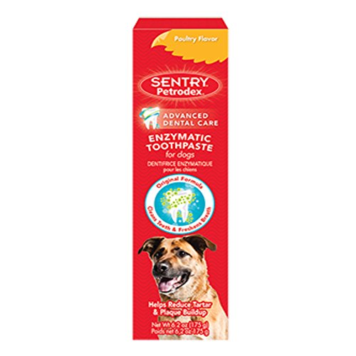Sentry Industries Inc. Petrodex Enzymatic Toothpaste for Dogs & C...