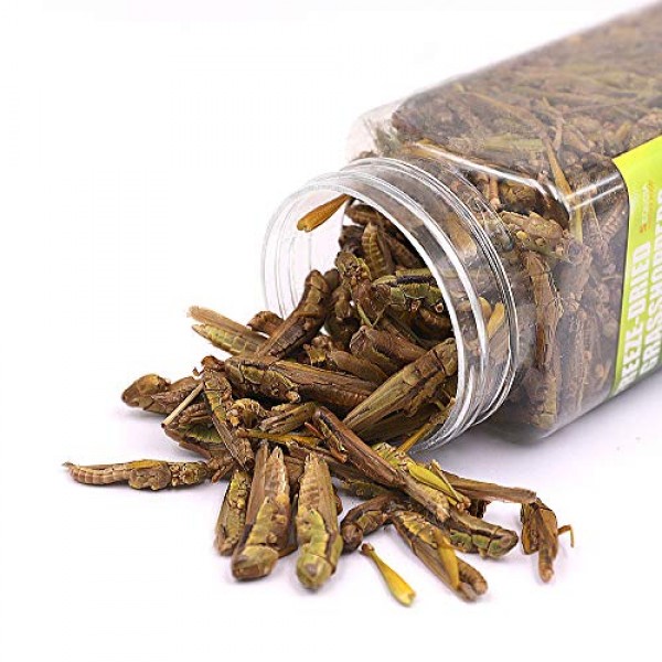 3OZ Freeze Dried grasshopper Reptile Food For Turtles, Bearded Dr...