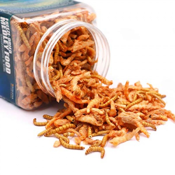 Aquatic Turtle Medley Food - Freeze Dried Shrimp & Mealworms for ...