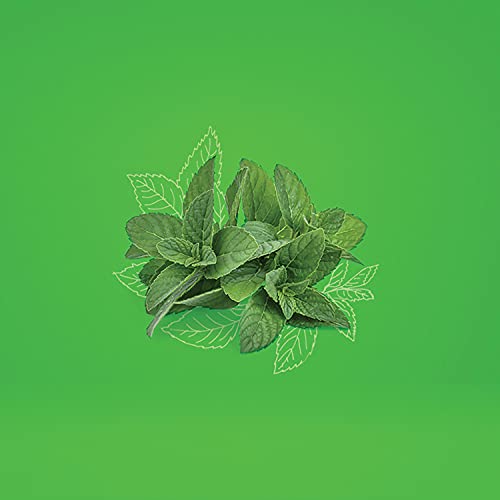 Shea Moisture African Wild Water Mint Detox & Stimulate Hand & Bo...