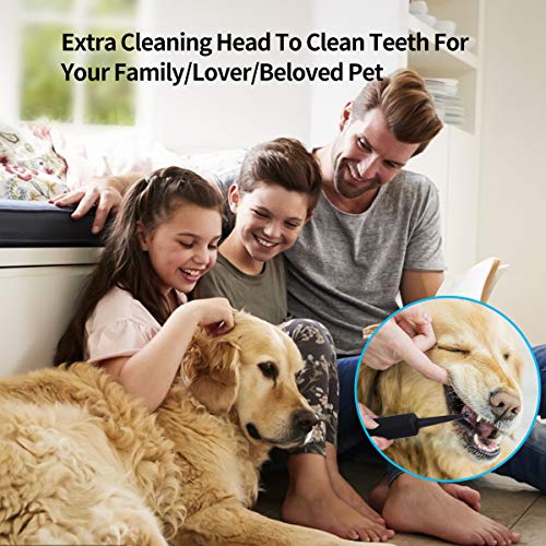 Electric Dental Calculus Remover with LED, High-Frequency Vibrati...