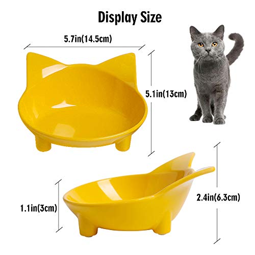 Skrtuan Cat Bowl Cat Food Bowls Non Slip Dog Dish Pet Food Bowls ...
