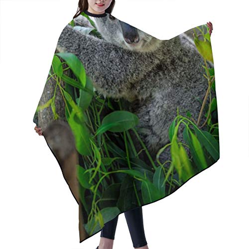 SLHFPX Professional Barber Cape Koala Hair Stylist Salon Capes Cl...