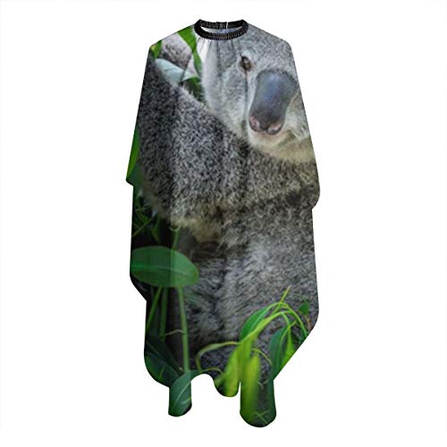 SLHFPX Professional Barber Cape Koala Hair Stylist Salon Capes Cl...