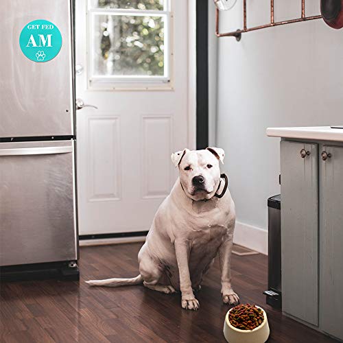 Dog Feed Reminder,Reversible Refrigerator Magnet Pet Fed Sign AM ...