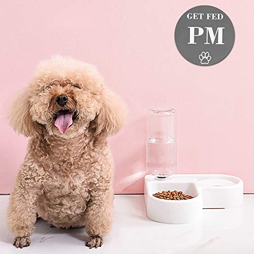 Dog Feed Reminder,Reversible Refrigerator Magnet Pet Fed Sign AM ...