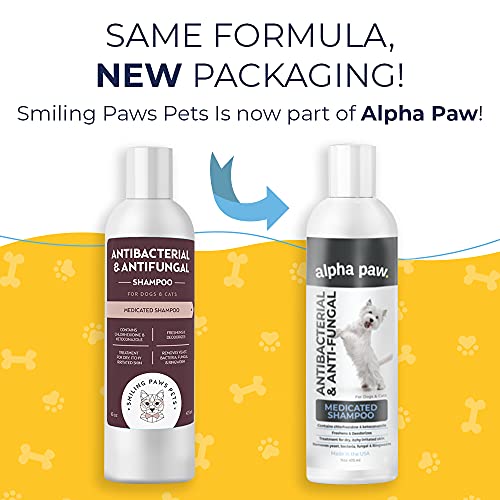 Antibacterial & Antifungal Shampoo For Dogs & Cats – Contains Ket...