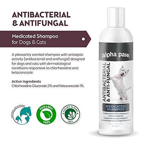 Antibacterial & Antifungal Shampoo For Dogs & Cats – Contains Ket...