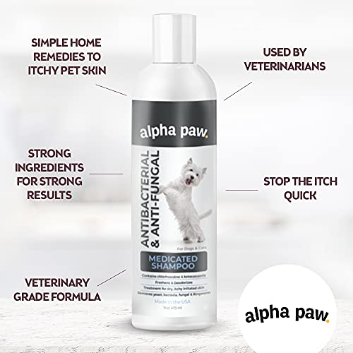 Antibacterial & Antifungal Shampoo For Dogs & Cats – Contains Ket...