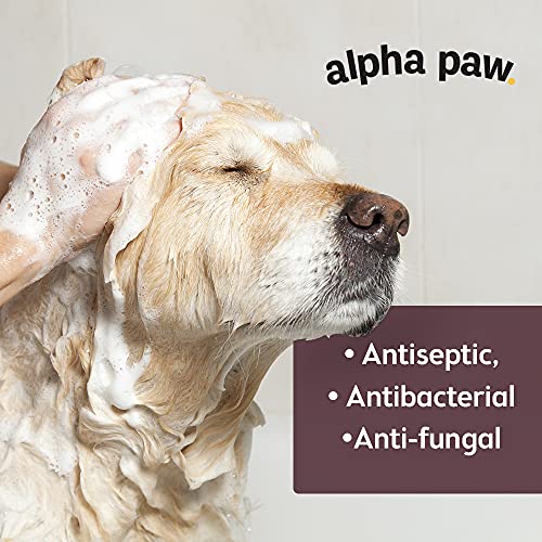 Antibacterial & Antifungal Shampoo For Dogs & Cats – Contains Ket...