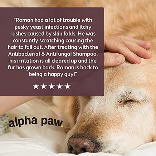 Antibacterial & Antifungal Shampoo For Dogs & Cats – Contains Ket...