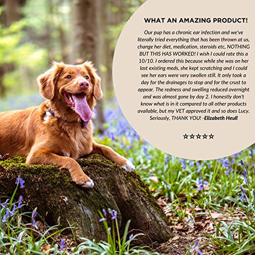 Smiling Paws Pets Medicated Ear Cleaner for Dogs & Cats - Gentle ...