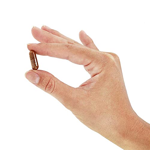 Solaray - Cool Cayenne Extra Hot - 90 Capsules