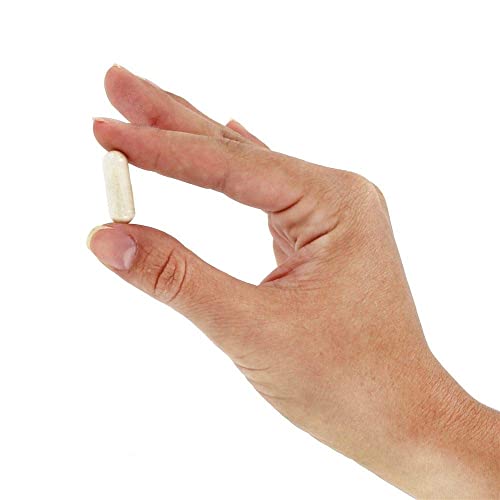 Solgar Boswellia Resin Extract, 60 Vegetable Capsules - Supports ...