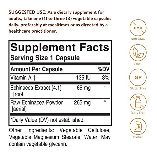Solgar Echinacea, 100 Vegetable Capsules - Immune Support - Full ...