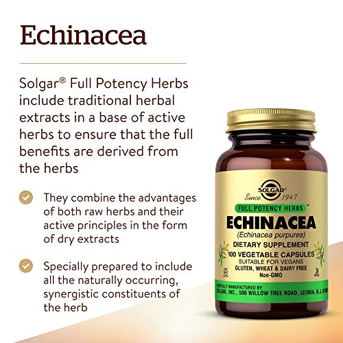Solgar Echinacea, 100 Vegetable Capsules - Immune Support - Full ...