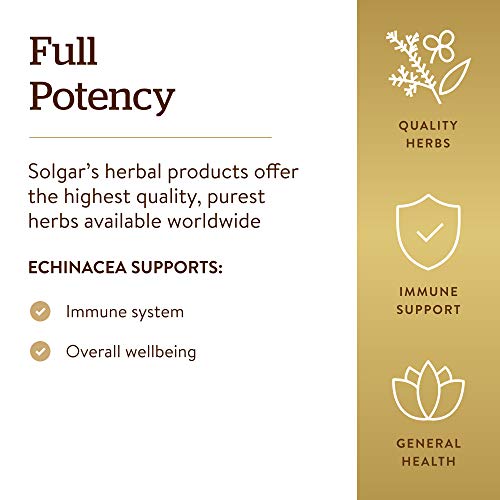 Solgar Echinacea, 100 Vegetable Capsules - Immune Support - Full ...