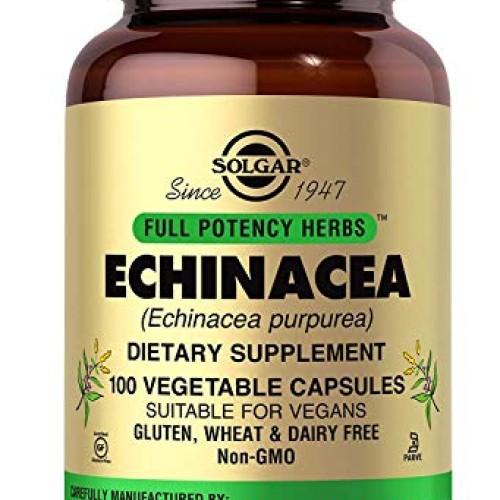 Solgar Echinacea, 100 Vegetable Capsules - Immune Support - Full ...