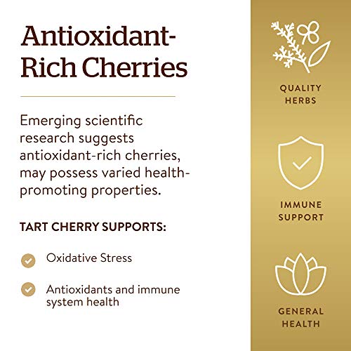 Solgar Tart Cherry 1000 mg, 90 Vegetable Capsules - Antioxidant w...