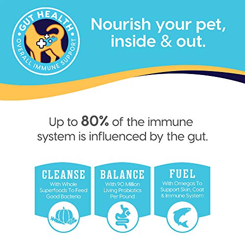 Solid Gold - Five Oceans Shreds in Gravy - Holistic Wet Cat Food