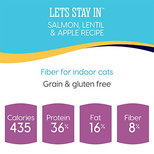 Solid Gold - Let’S Stay In Salmon - Grain-Free - Indoor Formula D...