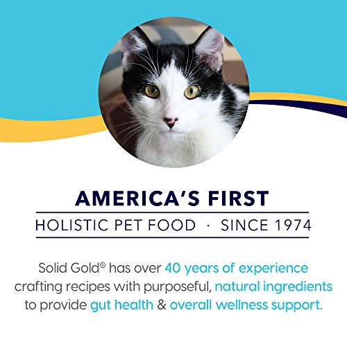 Solid Gold - Let’S Stay In Salmon - Grain-Free - Indoor Formula D...
