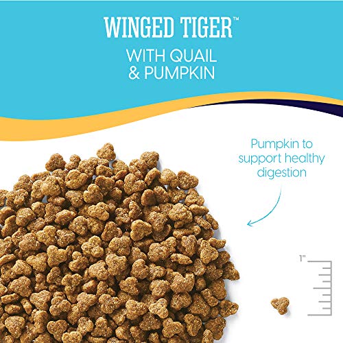 Solid Gold - Winged Tiger with Real Quail & Pumpkin - Grain Free ...