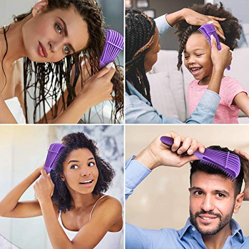 Detangling Brush, Hair Detangler Brush for Natural Hair, Hair Bru...
