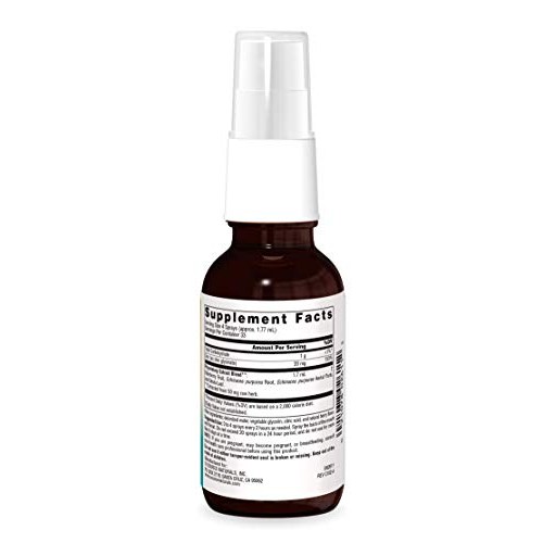 SOURCE NATURALS Wellness Zinc Throat Spray, Berry, 2 Fluid Ounce