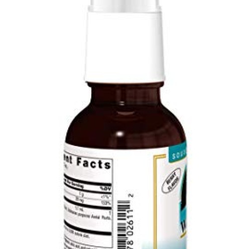 SOURCE NATURALS Wellness Zinc Throat Spray, Berry, 2 Fluid Ounce