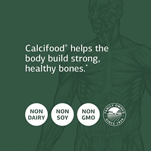 Standard Process Calcifood - Supports Calcium Absorption - Build ...