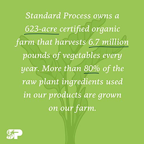 Standard Process Ferrofood - Whole Food Antioxidant, Healthy Bloo...