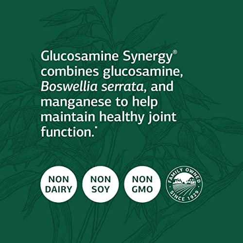 Standard Process Glucosamine Synergy - Whole Food RNA Supplement ...