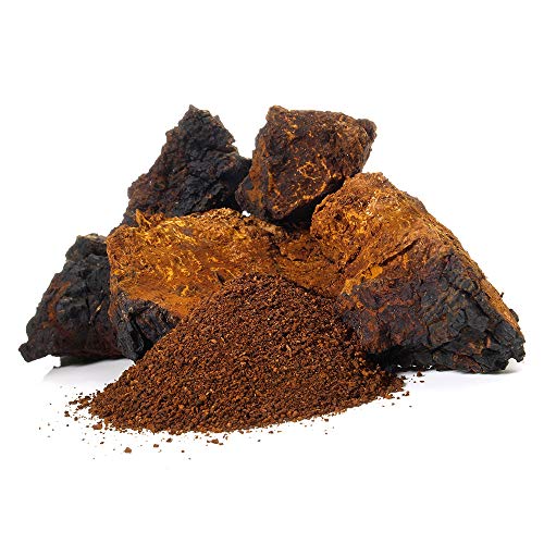Stay Wyld Organics Chaga Mushroom Vegan Capsule Supplement - Immu...