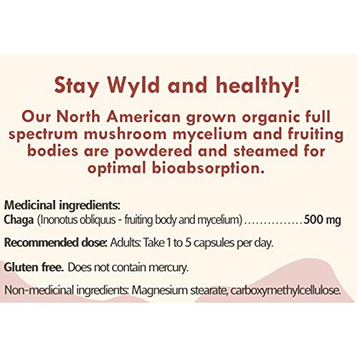 Stay Wyld Organics Chaga Mushroom Vegan Capsule Supplement - Immu...