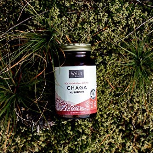 Stay Wyld Organics Chaga Mushroom Vegan Capsule Supplement - Immu...