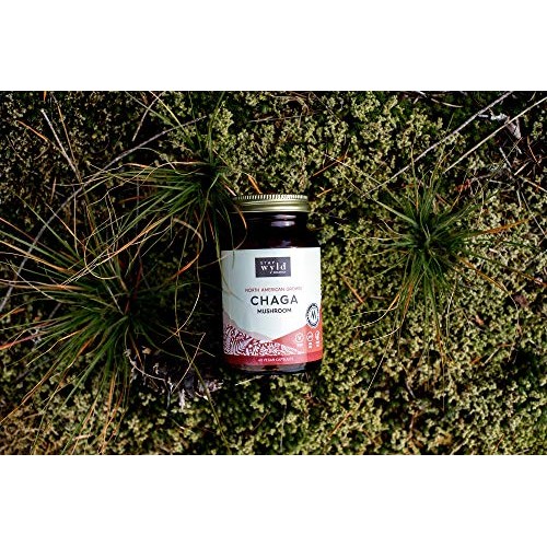 Stay Wyld Organics Chaga Mushroom Vegan Capsule Supplement - Immu...