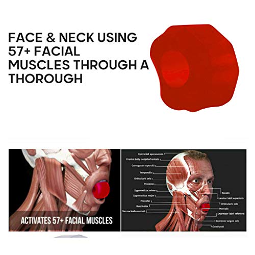 Jaw Line Exercise Face Fitness Ball & Facial Toner Exerciser Mand...