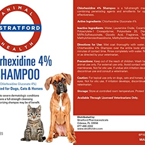 Stratford Pharmaceuticals Chlorhexidine 4% Shampoo - Plum Blueber...