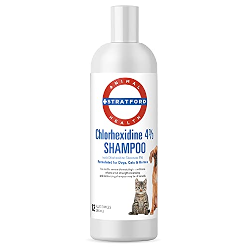 Stratford Pharmaceuticals Chlorhexidine 4% Shampoo - Plum Blueber...