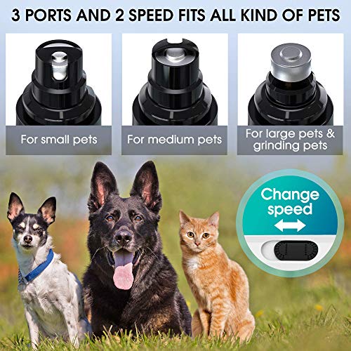 STÙNICK - Dog Nail Grinder for Small, Medium and Large Dogs - Gen...