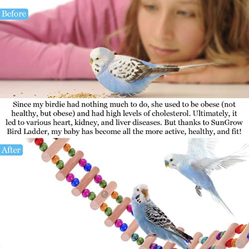 SunGrow Bird Ladder Bridge, 20 Inches Long, Helps Birds with Bala...