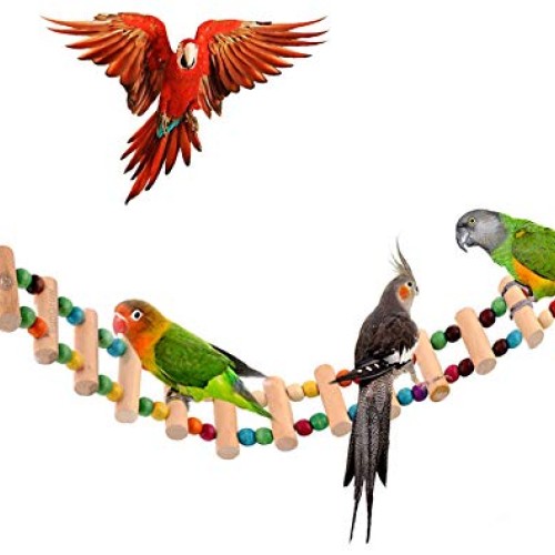 SunGrow Bird Ladder Bridge, 20 Inches Long, Helps Birds with Bala...