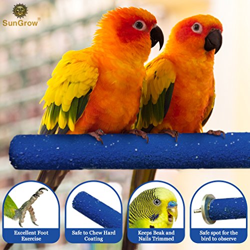 SunGrow Bird Perch, 8 Inches, Naturally Keeps Pet Bird Nails Trim...