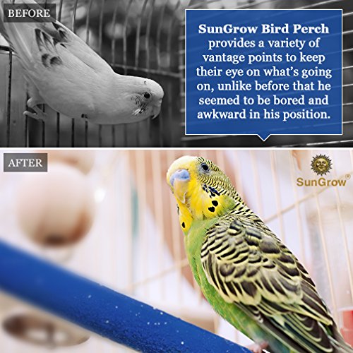 SunGrow Bird Perch, 8 Inches, Naturally Keeps Pet Bird Nails Trim...